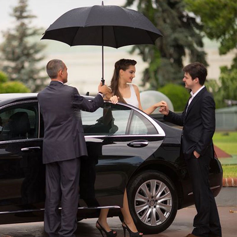 Luxury ground transport